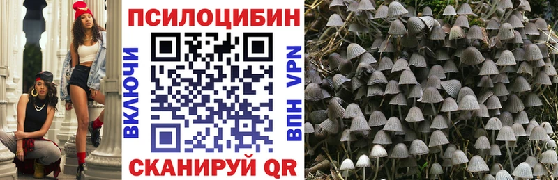 купить наркотики цена  Холмск  Галлюциногенные грибы MAGIC MUSHROOMS 