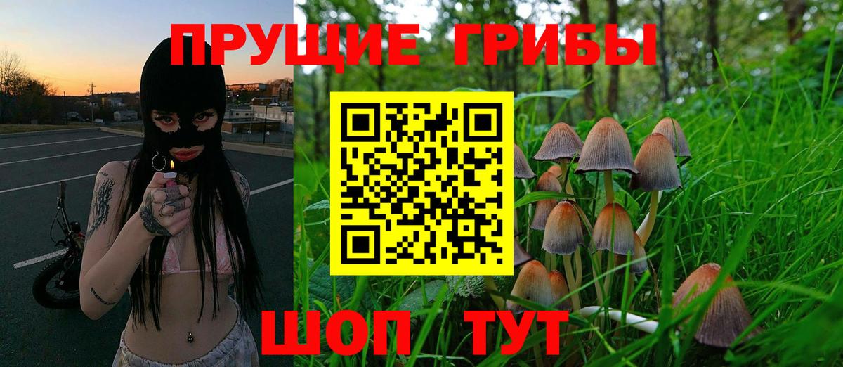 цена наркотик  Псилоцибиновые грибы Psilocybe  Вход с VPN  Холмск 